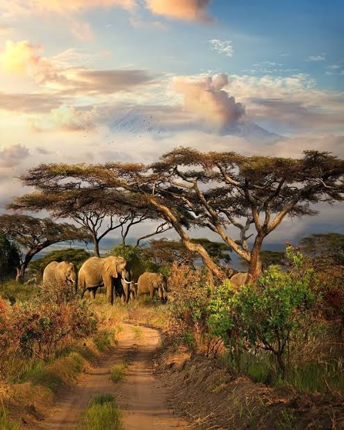 Africa