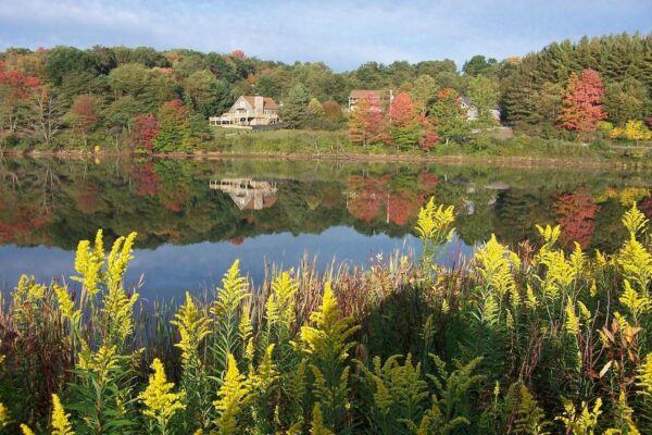 Alpine Lake Resort